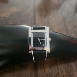 Skagen Denmark watch